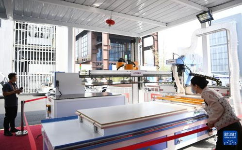 服贸会上的科技新看点 信息技术咨询服务